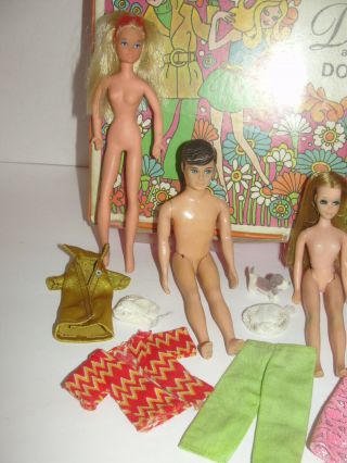 Vintage Dawn and Her Friends Doll Case,  4 Dolls Gary,  Rock Flowers - Clothes Wig 2