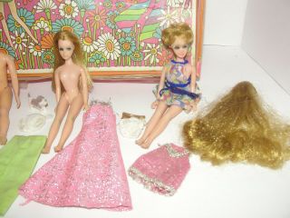 Vintage Dawn and Her Friends Doll Case,  4 Dolls Gary,  Rock Flowers - Clothes Wig 3