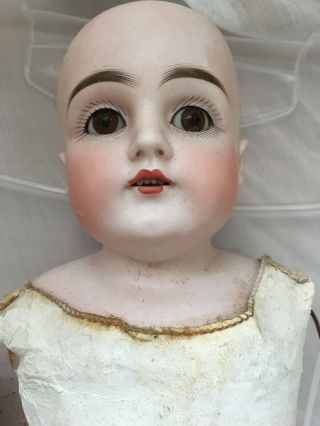 Antique German Kestner 154 Doll Head Plaster Pate Tlc Body Estate Find