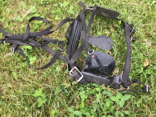 Nylon Horse Driving Harness Leather Antique With Reigns Face Mask
