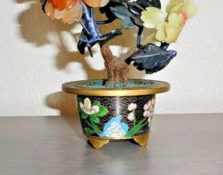 Hand Carved Antique Chinese Jade Quartz Agate Tree In Cloisonne Pot 2