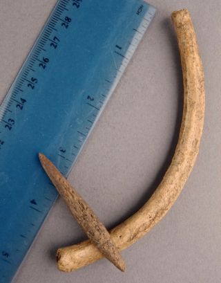 500 - 5000,  Yrs Aleut Artifact Kodiak Isld Alaska Inuit Fish Hook Shaft & Barb 207
