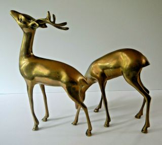 Deer Brass Metal Buck & Doe Vintage Mid - Century Modern MCM Large Figures Pair 2