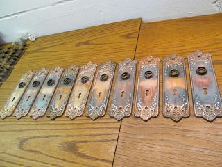 10 Matching Stamped Metal Door Plates.  Backplates.  Escutcheons.  Ornate