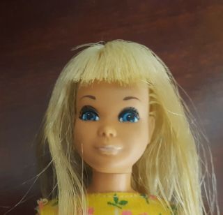 Vintage Barbie PRETTY Sun Set Malibu SKIPPER Doll 1069 in SEARS EXCLUSIVE 1970s 2