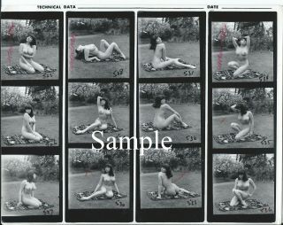 2 Legendary U.  K.  Model June Palmer - Vintage Contact Sheet Of 12 Images - Nudes