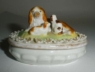 Unusual Small Antique Staffordshire Covered Box - 3 Dogs On Top - 2 1/4 " Long
