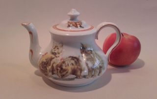 Antique,  Vintage Paragon Nursery China Tea Pot With Cats & Dogs