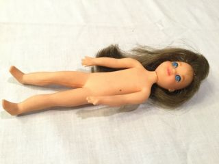 Vintage Barbie Tutti Chris Doll Long Brown Hair Brunette Blue Eyes Fast Ship