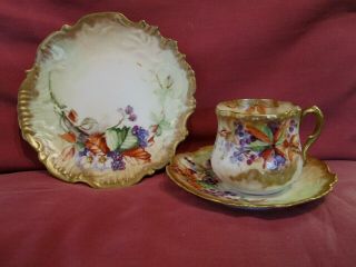 Stunning Antique C.  1896 Nautilus Scottish Porcelain Hand Painted Trio Berries