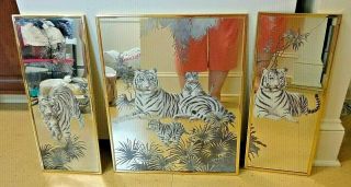Vintage Picture Mirrors Set Of 3 White Tiger Family Mama & Cubs Wildlife Art
