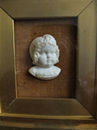 Antique 19thc Pre Parian Portrait Medallion Albert Prince Of Wales C1841 Royal