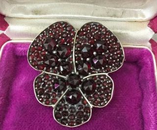 Antique Jewellery Stunning Silver & Real Garnet Pansy Flower Brooch 2