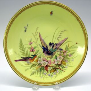 19th Century Royal Worcester Porcelain Enameled Cabinet Plate Birds & Bugs