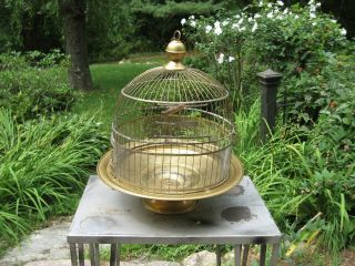 Vintage Antique Hendryx Brass Wire Bee Hive Bird Cage Haven Conn Usa