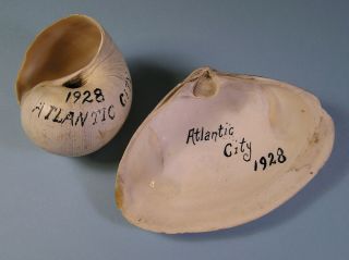2 Antique Sea Shells Hand - Inscribed Atlantic City - 1928 - The Resort 