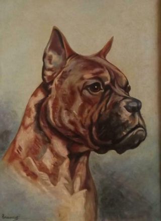Indistinctly Signed Antique Oil Painting Portrait Of A Faithful Pitbull Dog 1930
