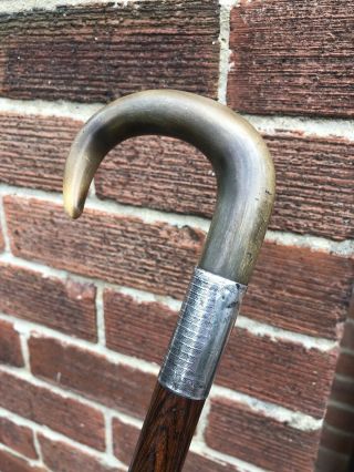 Antique Silver Mounted Cow Horn Handled Gentlemans Walking Stick / Cane