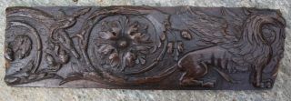 17th Century Carved Oak Panel Of A Griffon,  Flemish Gothic Carving