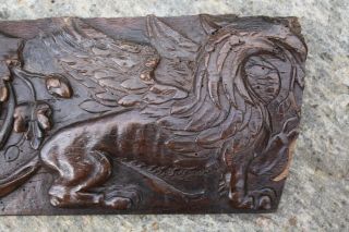 17th Century CARVED OAK PANEL of a GRIFFON,  FLEMISH Gothic carving 2