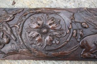 17th Century CARVED OAK PANEL of a GRIFFON,  FLEMISH Gothic carving 3