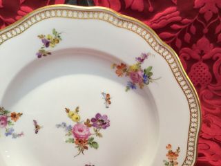 1 Of 12 Antique Meissen Flowers Insects Gilt Rim 6 1/8” Dessert Plate Ex Cond