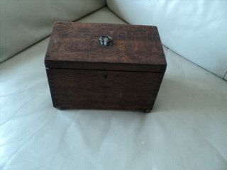 Victorian Wooden Tea Caddy With Brass Lion