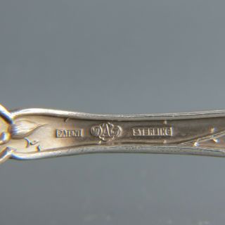Sterling Silver Souvenir Spoon,  Elk ' s Head in Bowl 5