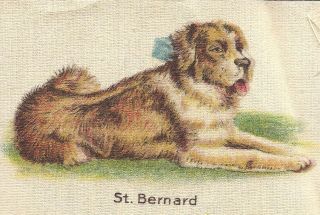 Vintage Tobacco Cigarette Silk - Use In Crazy Quilt - Dog,  St Bernard,  Animal