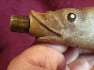 1800 - S Carved Fish Head Antique Black Powder Horn Primitive Folk Art Finland