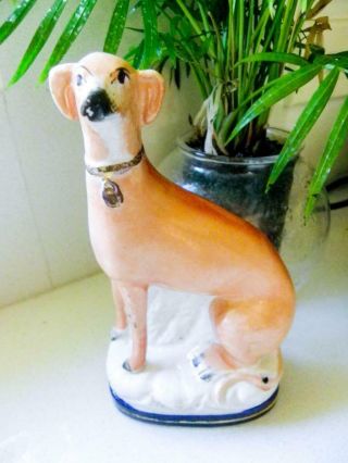 Antique Staffordshire Greyhound / Whippet Dog Early 19th Century - England