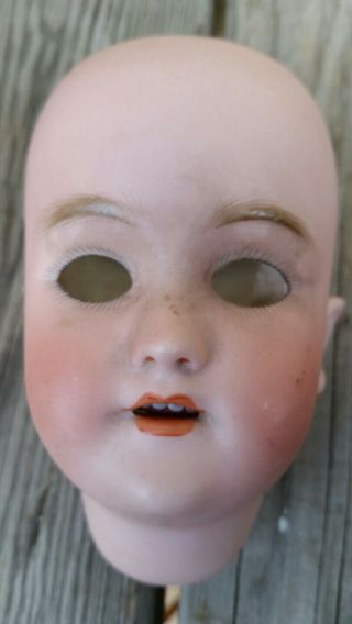 Antique Heinrich Handwerck Simon Halbig Bisque German Doll Head Only
