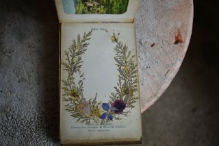 Antique 1918 Jerusalem Pressed Flowers & Views Holy Land Book Olive Wood Cover 6