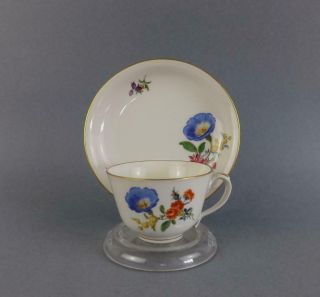 Antique Meissen Dresden Floral Porcelain Cup And Saucer 2