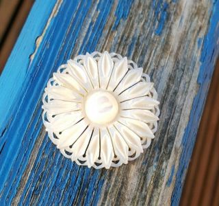 Vintage Possibly Antique Finely Carved Mother Of Pearl Daisy Brooch Pin