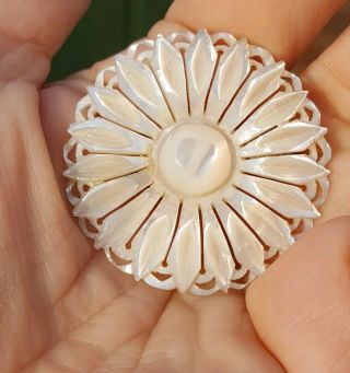 Vintage Possibly Antique Finely Carved Mother Of Pearl Daisy Brooch Pin 2