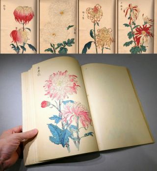 Keika - Hyakugiku Woodblcok Printed Chrysanthemums Picture Book Japanese Vintage