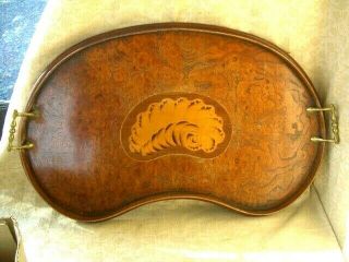 Edwardian Kidney Shaped Mahogany Inlaid Butlers Or Drinks Tray 56 Cm X 32 Cm