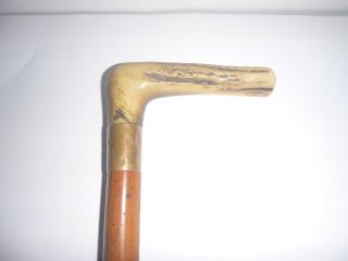 Vintage Stag Antler Handle Walking Stick With Brass Fittings