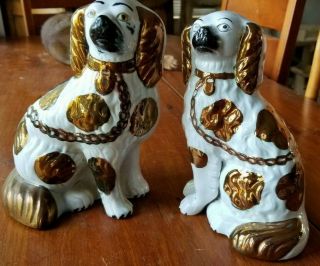 Antique Staffordshire Spaniel Dog Pair Gold Lustre 8 " & 7.  75 " Two Front Legs