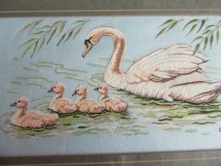 Cash ' s Vintage Woven Silk Picture Collectors Series ' Swan with Cygnets ' 2