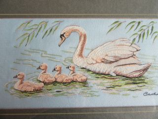 Cash ' s Vintage Woven Silk Picture Collectors Series ' Swan with Cygnets ' 3
