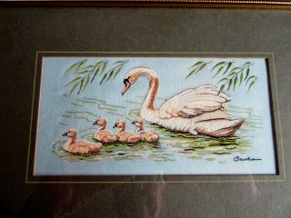 Cash ' s Vintage Woven Silk Picture Collectors Series ' Swan with Cygnets ' 5