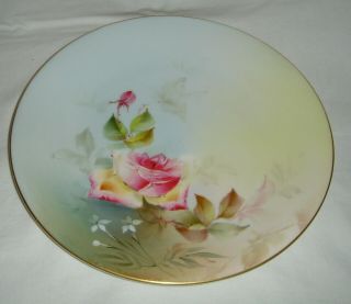 Antique C1906 Royal Worcester Hand Painted Cabinet Plate Flowers W6934
