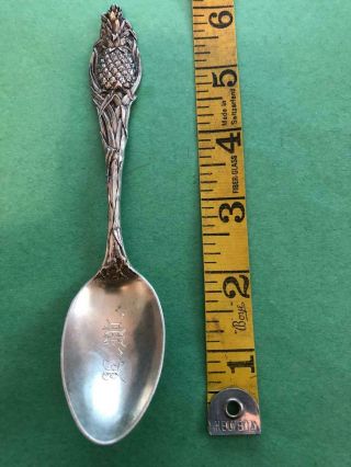1905 Sterling Silver Spoon Watson Mechanics Hallmark Pineapple Handle 36 Grams