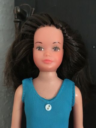 Vintage 1974 Mattel Barbie Growing Up Skipper Brunette Ginger Doll -