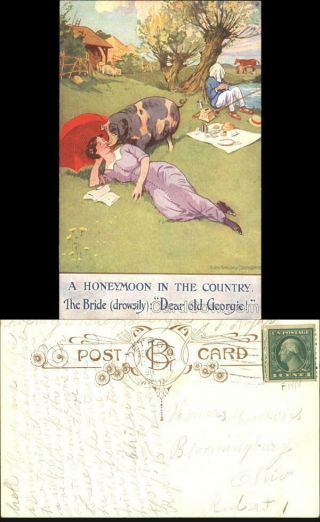 Pig 1916 A Honeymoon In The Country Antique Postcard 1c Stamp Vintage Post Card