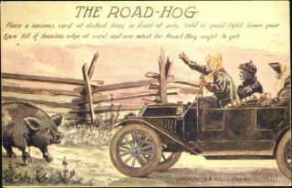 Pig The Road - Hog Antique Postcard Vintage Post Card