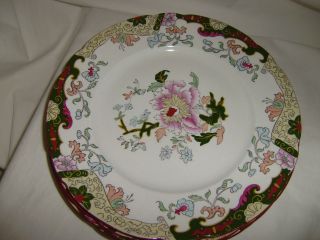 5 Antique Rare Ashworth Brothers Hanley 9 3/4 Inch Dinner Plates 9288