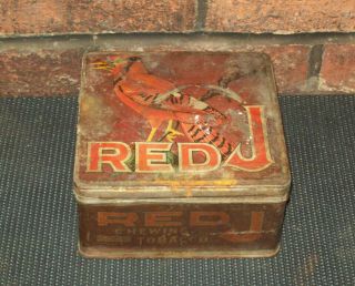 Vintage Chewing Tobacco Tin Red J 2 Dozen Plugs Antique Cardinal Bird Old Orig